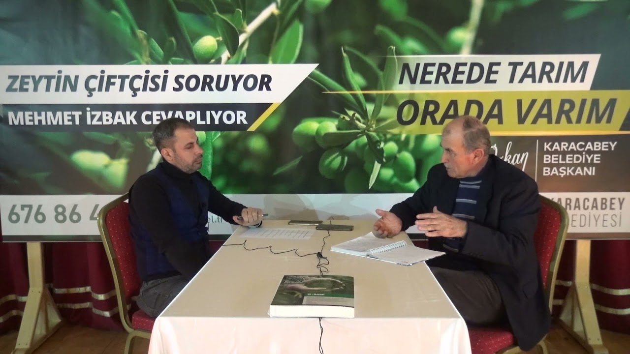 Zeytin'de tomurcuk ve çiçek zamanı neler yapılmalı?