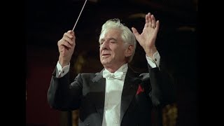 Schubert: Symphony No.9 &quot;The Great&quot; Leonard Bernstein シューベルト：交響曲 第9番「グレイト」レナード・バーンスタイン