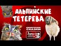 Альпийские тетерева | Подборка лучших смешных кредитных историй и приколов с коллекторами