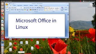 Install microsoft office on linux ubuntu