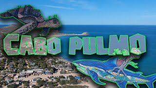 Cabo Pulmo