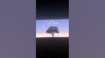 سورة الزمر|22|القارئ:#محمد_اللحيدان #قران #quran #راحة_نفسية #قران_كريم #تلاوة_هادئة#آية#تلاوة_خاشعة