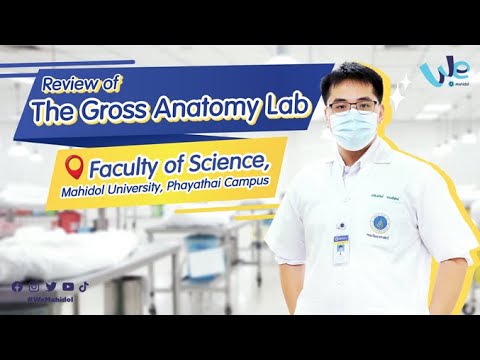 Review of the Gross Anatomy Lab, Faculty of Science, Mahidol University, Phayathai Campus|Nous Space