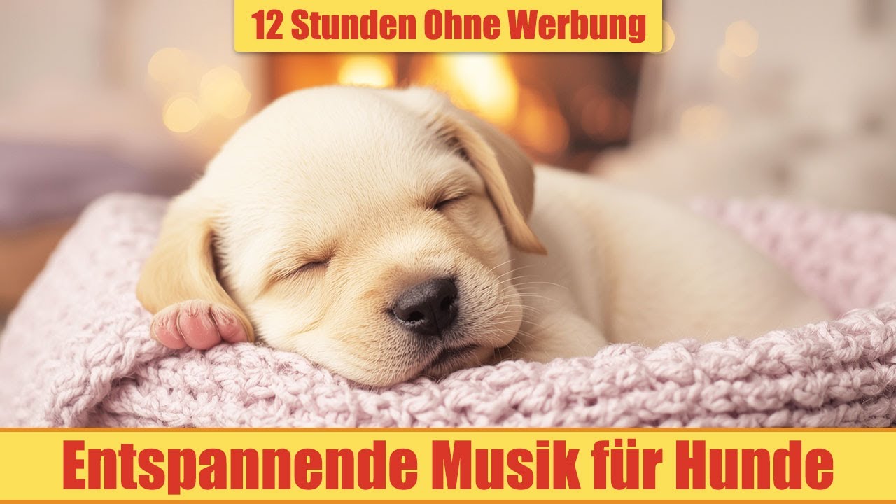 Beruhigende Musik für Hunde - 12 Stunden Ohne Werbung | Entspannung & tiefer Schlaf_vol.22