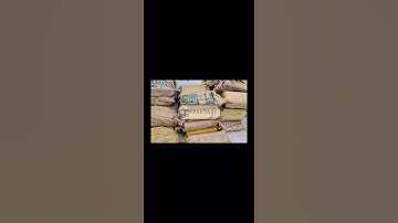 TapariaJi™ Rolling Shutter Spring  #viral #manufacturer #shorts #shortsvideo #TapariaJi