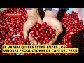 El VRAEM quiere estar entre los mejores productores cafetaleros del Perú