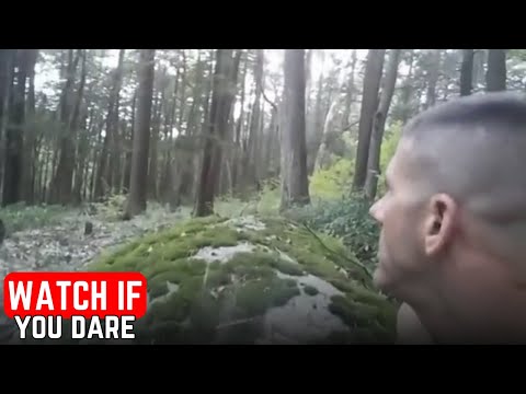 6 FOREST Encounters That Will Make You AFRAID Of It