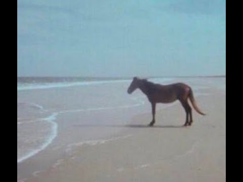 playing aniphobia with my friend playing aniphobia with my friend