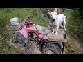 Fixing a rusted ATV gear lever and test riding on the beach