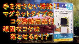 手を汚さず掃除できるマグネットタイプのコケとり用品で、頑固なコケは落とせるか？　GEXのマグフィットフロート試してみました☆彡　ダンゴウオの近況も♪