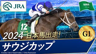 2024年 サウジカップ（G1） | 第5回 | JRA公式 image