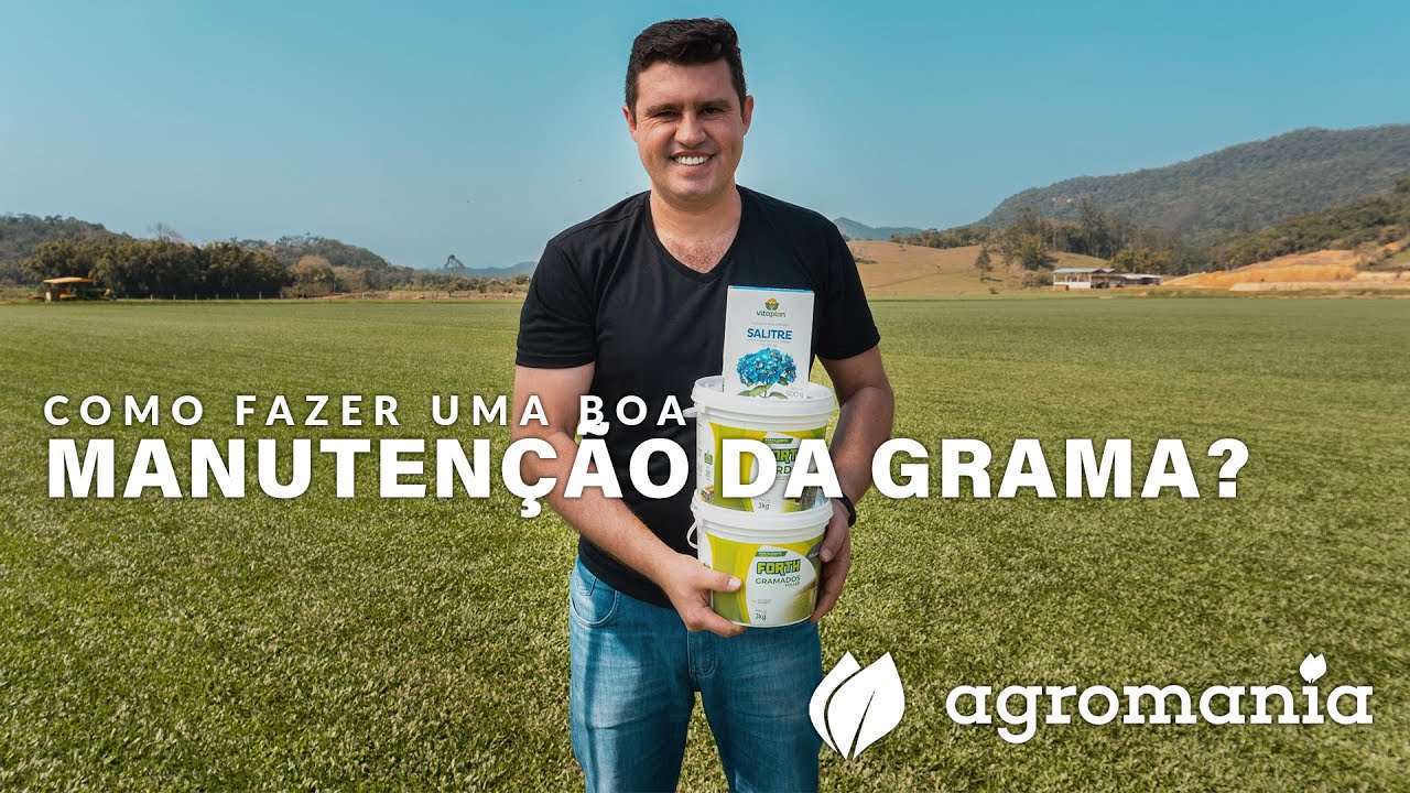 Como fazer uma boa manutenção em seu gramado
