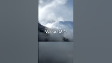 اكتب شيء تؤجر عليه 💛 | سورة الانعام 21-22 القارئ عمر بن ضياء الدين | tilawat quran surah al an'am