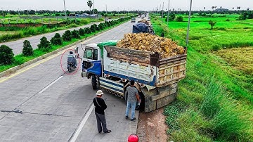 Wonderful FIRST STARTING NEW PROJECT LANDFILL BY 5T TRUCKS Unloading Soil &Dozer KOMATSU D37P Push
