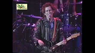 ROLLING STONES Keith Richards &#39;How I Wish&#39; live Boston 1993 Japanese TV