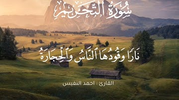 @ تلاوة خاشعة  لسورة التحريم تهز القلوب