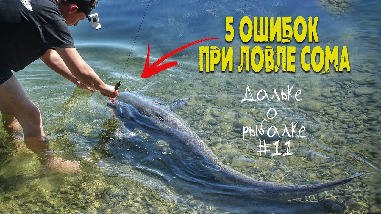 НЕ СОВЕРШАЙ эти 5 ОШИБОК при ЛОВЛЕ СОМА - советы начинающим | Виталий #Дальке о рыбалке 11