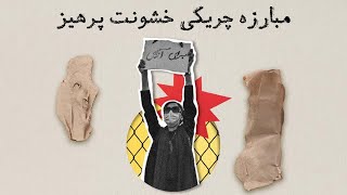 اهمیت مبارزه چریکی خشونت پرهیز در پیروزی انقلاب