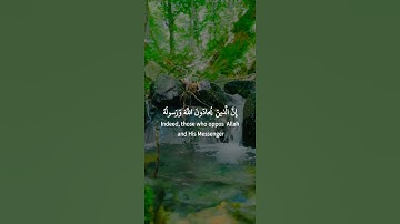 سورة المجادلة: القارئ محمد حسين عامر