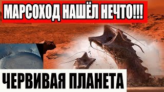 КОГДА РЕАЛЬНОСТЬ СТРАШНЕЕ ВЫМЫСЛА! РЕАЛЬНАЯ ЖУТЬ! 26/10/2025! ДОКУМЕНТАЛЬНЫЙ ФИЛЬМ HD!