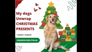 My dogs unwrap christmas' presents! by Fashion Dog Italia 416 views 2 years ago 7 minutes, 23 seconds