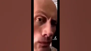 בולבול 