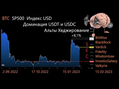 Импульс +8% перед важными датами Доминация USDT+USDC Как хеджировать убыточные альты