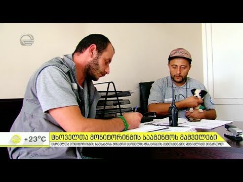ცხოველთა მონიტორინგის სააგენტოს მაშველები - დეტალები ,,იმედის დღეში''