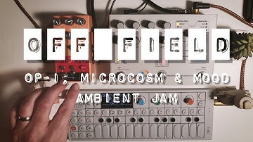 OFF FIELD  ||  OP-1, Microcosm and Mood Ambient Jam