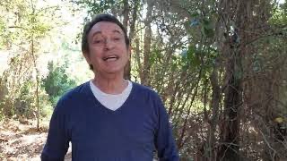 Video thumbnail of "It's In Every One Of Us (Acapella) - David Pomeranz"