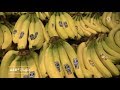 Pestizide auf Bananen – Hände waschen nach dem Verzehr von Bananen! (26.03.2019 ARD-Buffet SWR)