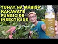 KAKAWATE FUNGICIDE / INSECTICIDE Super Husay with Best Result