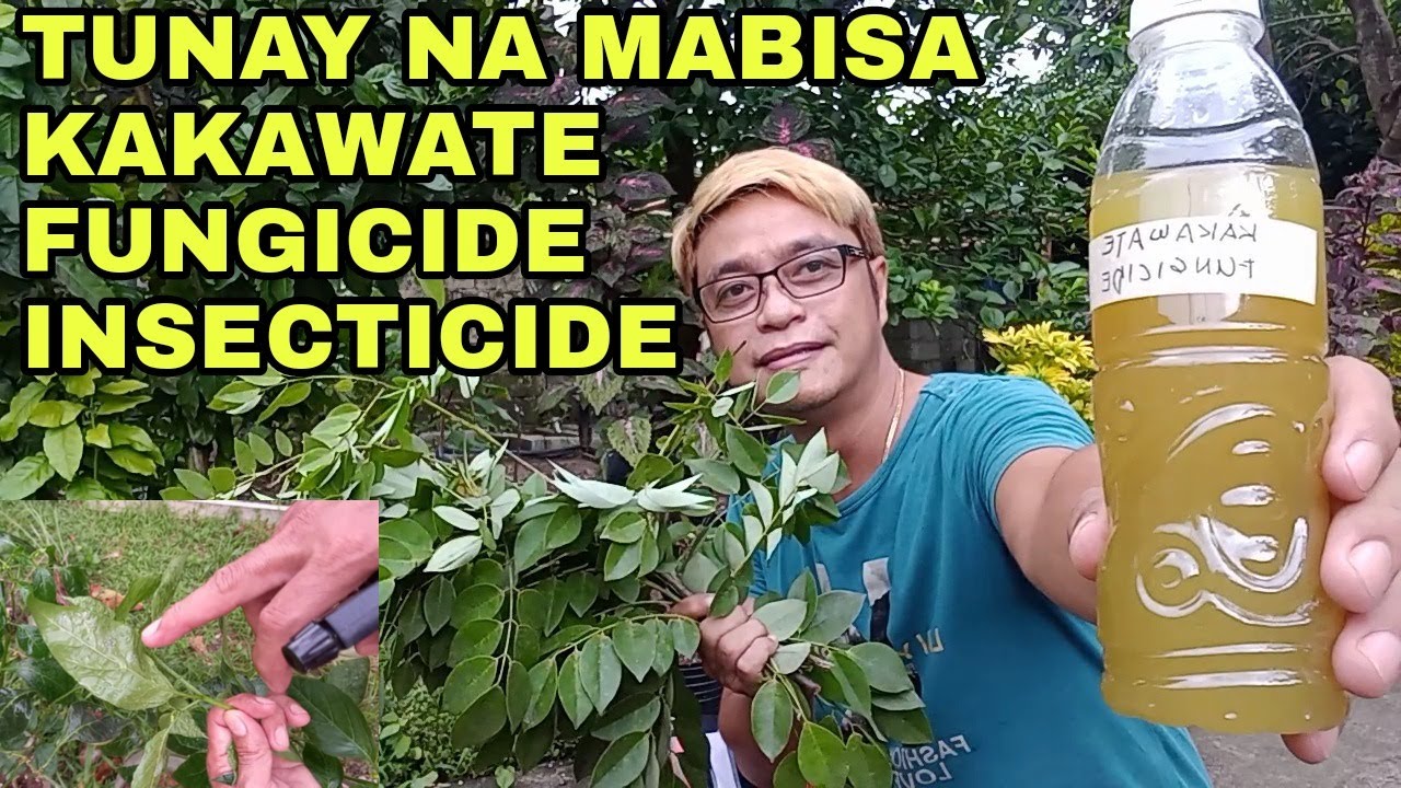 KAKAWATE FUNGICIDE / INSECTICIDE Super Husay with Best Result