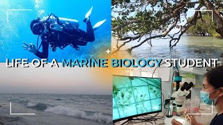 Studying Marine Biology in the Philippines