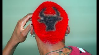 Dennis Rodman First Season with the Chicago Bulls Highlights 1995-96