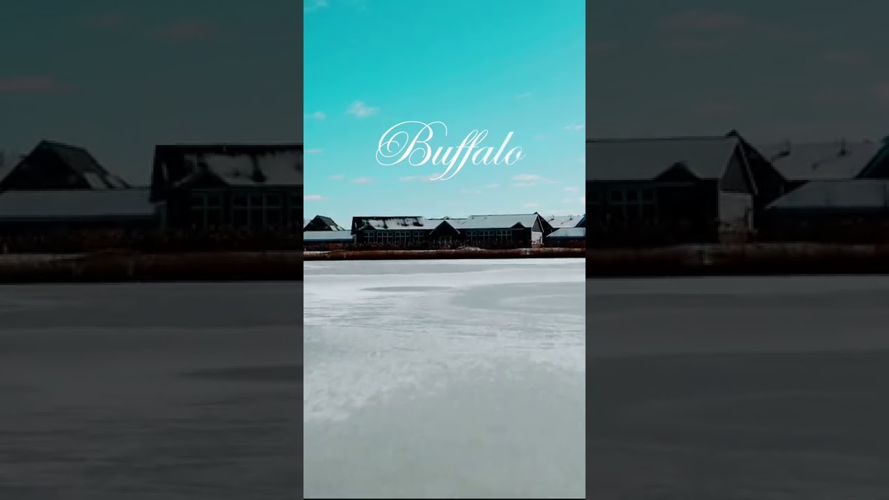 “Beautiful Buffalo - A WNY Scenery “ is my love letter to Buffalo. It’s out now.Checkit outinchannel