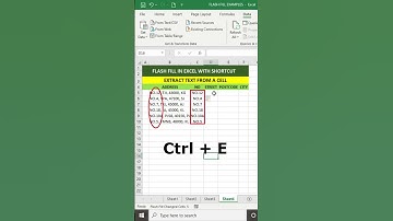 EXTRACT PARTS OF TEXT FROM A CELL (FLASH FILL)
