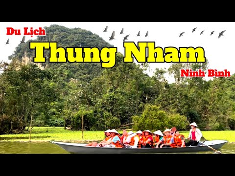 Du Lịch Ninh Bình 2023 | Tham Quan Vườn Chim Thung Nham | Toàn Cảnh Và Giá Vé Chi Tiết 2023 Mới