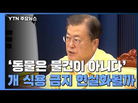 '동물은 물건이 아니다'...개 식용 금지 현실화될까? / YTN