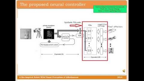 A bio-inspired robot with visual perception of Affordances