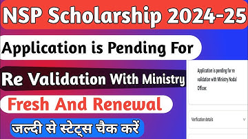 NSP Application is Pending For Re Validation Ministry | Re Validation Problem | Fresh And Renewal