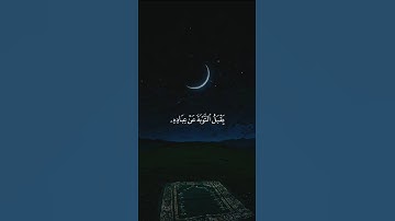 اكتب شيء تؤجر عليه 😴💚 قران كريم | ياسر الدوسري