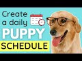 Puppy Schedule: How To Create A Daily Schedule for your Puppy