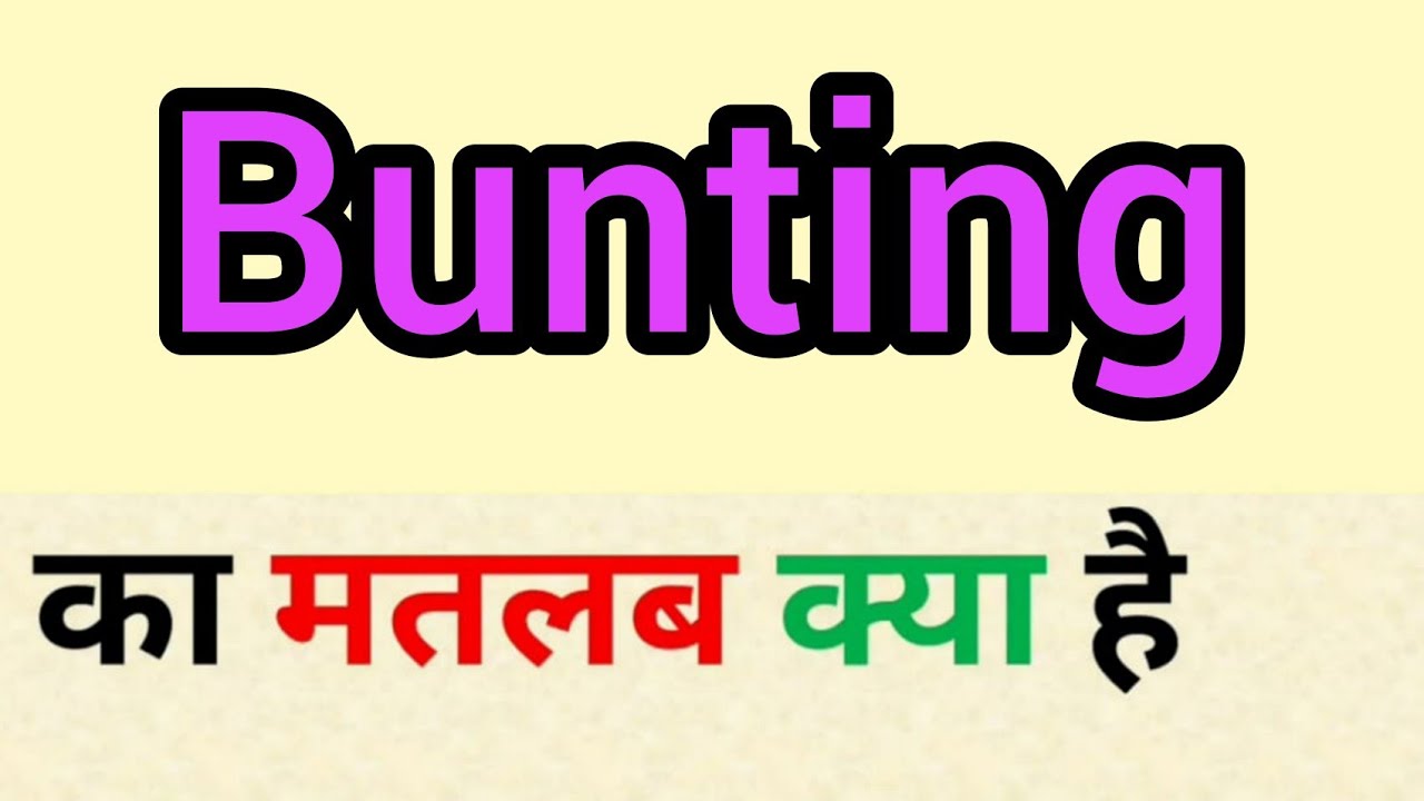 bunting-meaning-in-hindi-bunting-ka-matlab-kya-hota-hai-word