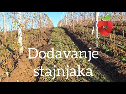 Video: Koja je prednost stajnjaka?