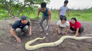 We found a 15FT Albino Python Nest with 1000 eggs! 😱 You Won't Believe What Came Out