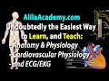 The Easiest Way to Learn, and Teach: A &amp; P, ECG/EKG, and Cardiovascular Physiology.