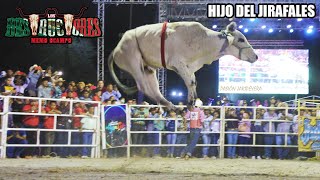 Toro Volador hijo del Jirafales 20 TOROS DE RANCHO LOS DESTRUCTORES EN IGUALA GUERRERO 2023 |Jaripeo