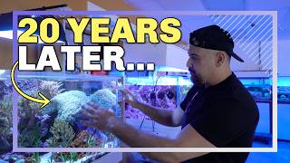 This 20-Year-Old Reef Tank Proves Simple Still Works screenshot 1