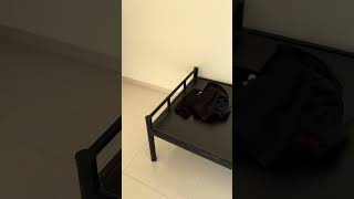 IMG 0227